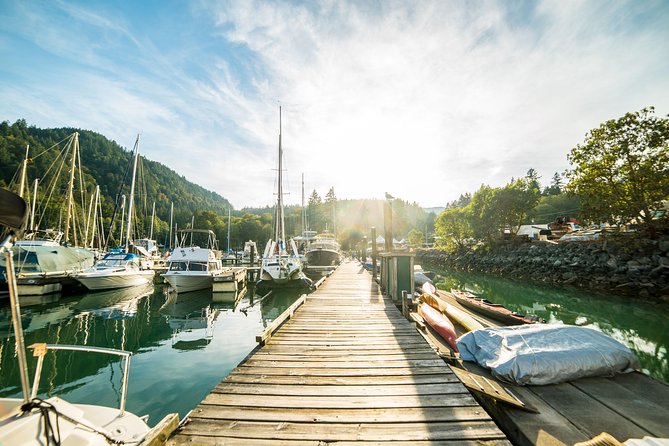 Vancouver Jetski Tour with Dinner on Bowen Island - Seal Colony time: where the wildlife spotting pays off
