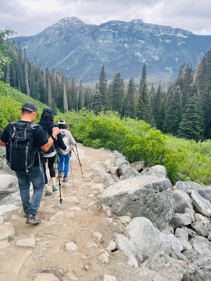 Vancouver: Joffre Lakes Park Hike and Whistler Day Trip - The 8 km Out-and-Back: Lower, Middle, Upper Joffre Lakes