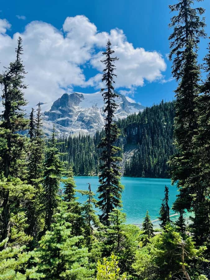 Vancouver: Joffre Lakes Park Hike and Whistler Day Trip - Price and Value: Is $277 Worth It?