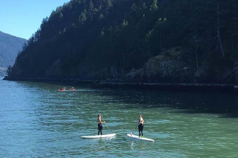 Vancouver: Morning Kayak & Seal Cruise - Kayak, SUP, or Stay Dry on the Mother Ship