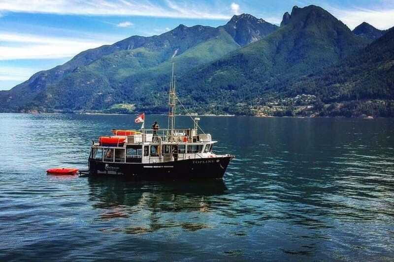 Vancouver: Morning Kayak & Seal Cruise - A Guided Morning with Friendly Pros (Tori and Kevin)
