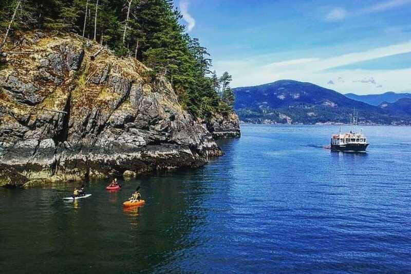 Vancouver: Morning Kayak & Seal Cruise - Price and Value: Is $87 Worth It?