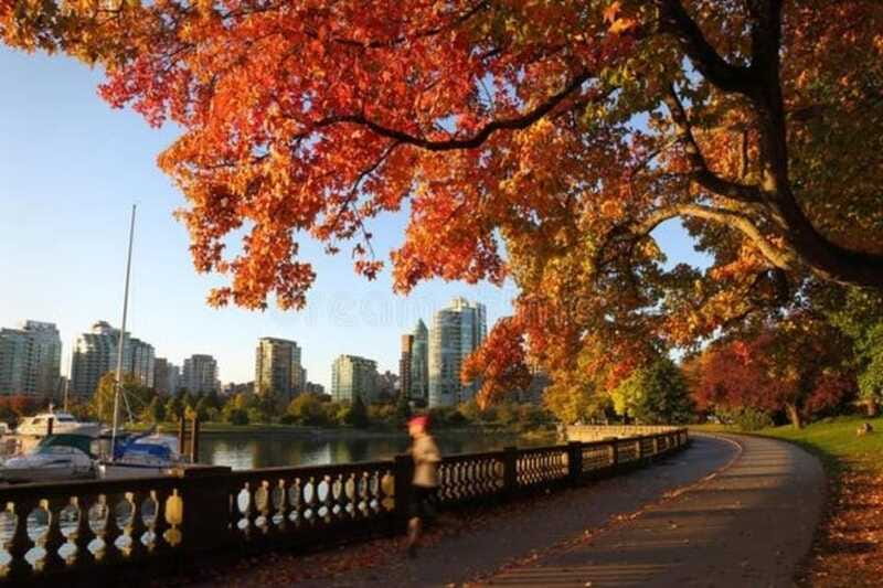Vancouver : Must-See Attractions Walking Tour With A Guide - How the Guide Changes the Value (Jeff, Stephan, and the Story-Intensity Factor)