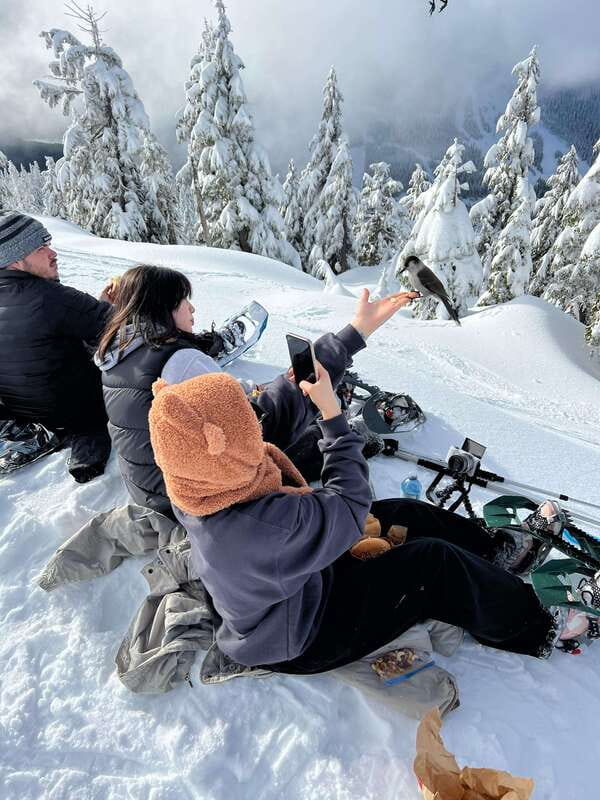 Vancouver: North Shore Mountains Snowshoeing with Transfer - North Shore Snowshoeing That Feels Close to Vancouver