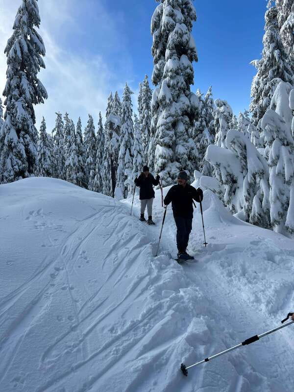 Vancouver: North Shore Mountains Snowshoeing with Transfer - Door-to-Door Pickup and a Small Group That Actually Works