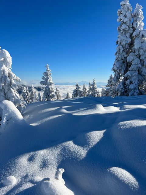 Vancouver: North Shore Mountains Snowshoeing with Transfer - Views Over Vancouver: When the Weather Helps (and When It Doesn’t)