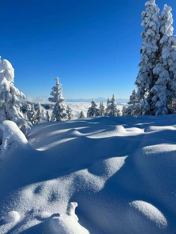 Vancouver: North Shore Mountains Snowshoeing with Transfer - Gear Provided, Food On Your Own