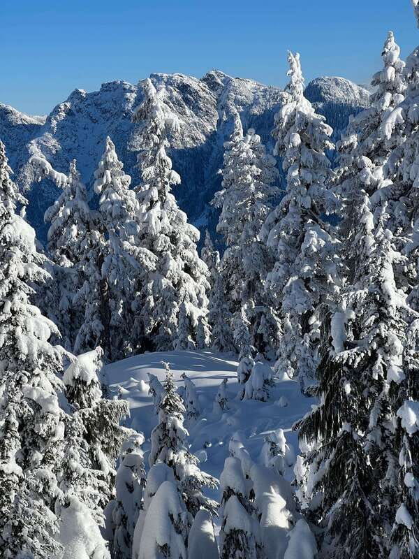 Vancouver: North Shore Mountains Snowshoeing with Transfer - Who This Tour Suits Best (and Who Should Skip It)