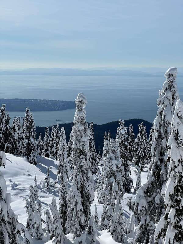 Vancouver: North Shore Mountains Snowshoeing with Transfer - What Your 270 Minutes Look Like on the Trail
