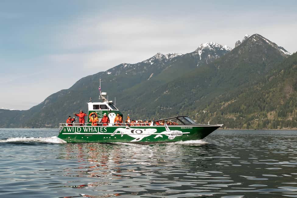Vancouver: Open-air Whale Watching Tour, Granville Island - Eagle Eyes open-air catamaran: the big difference from typical whale tours