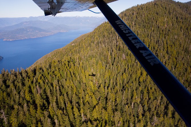 Vancouver Panorama Scenic Seaplane Tour - Price and value: what $134.70 buys you in real time