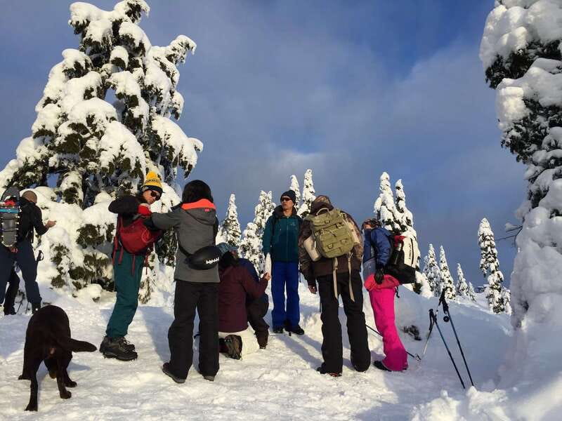 Vancouver: Panoramic View Hiking Tour - North Shore Views, Not Just a Quick Photo Stop