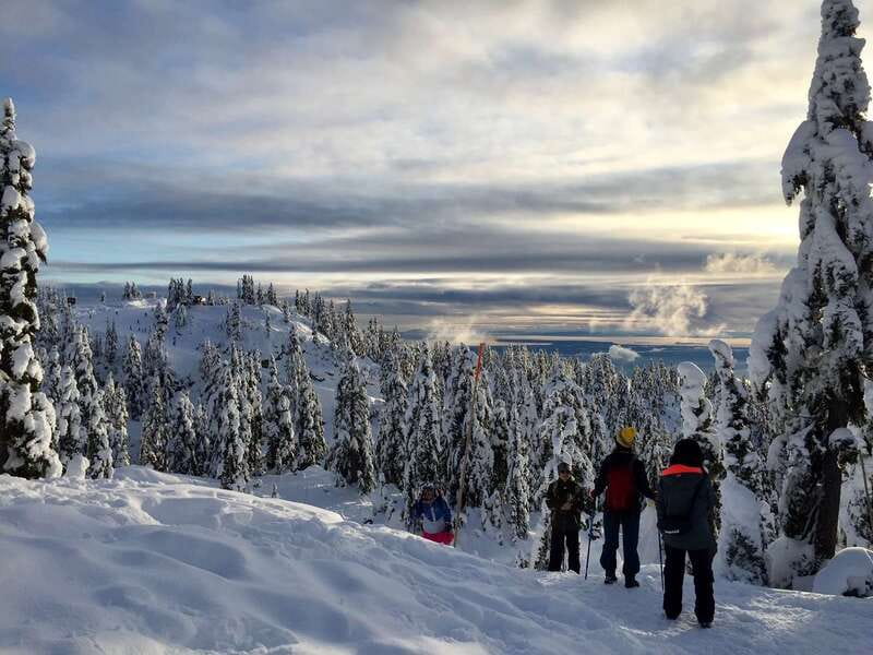 Vancouver: Panoramic View Hiking Tour - The 6-Hour Hike: What Your Day Feels Like