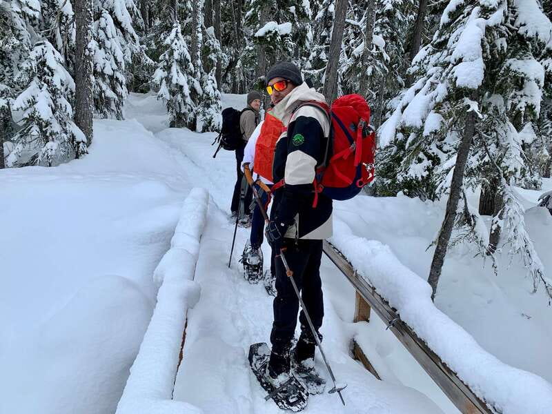 Vancouver: Panoramic View Hiking Tour - Downtown Vancouver Pickup: Easy Start, Fewer Headaches