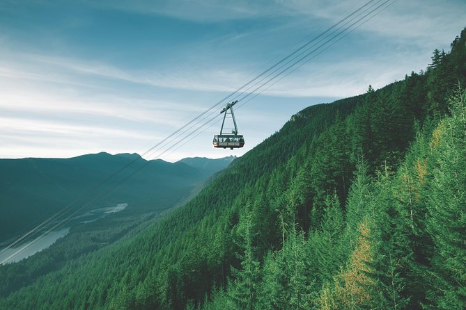 Vancouver Premium Tour: Capilano Bridge + Grouse Mountain Lunch - A 5-Hour Sampler That Actually Covers Vancouver