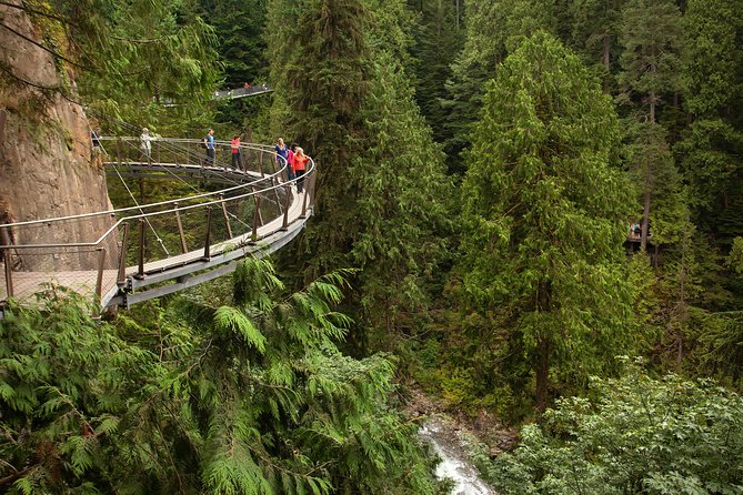 Vancouver Premium Tour: Capilano Bridge + Grouse Mountain Lunch - Small-Group Feel Without the Usual Chaos