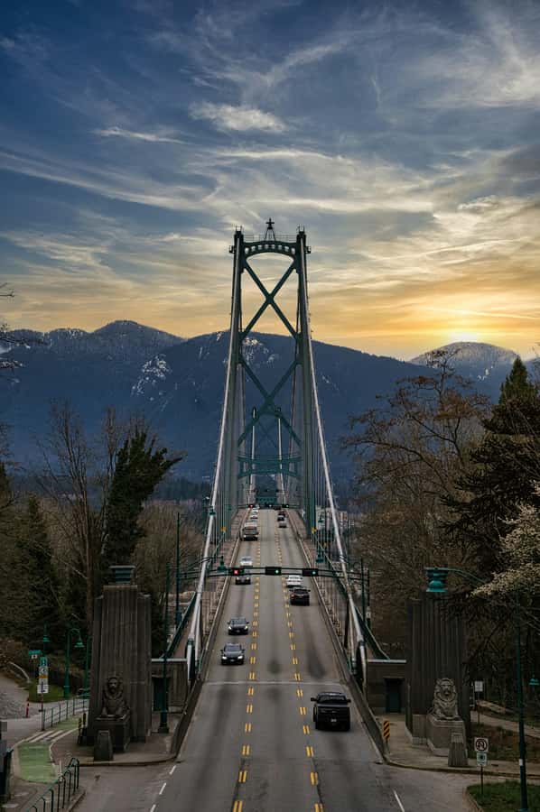 Vancouver: Private City Sights Tour by Minibus (3hrs) - Who this minibus tour is best for