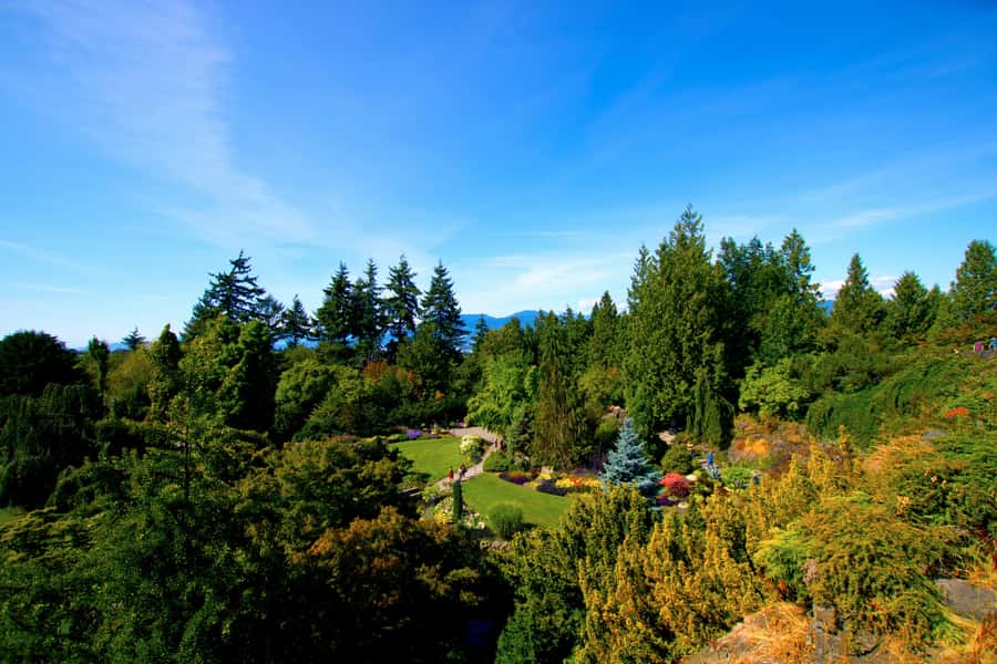 Vancouver: Private City Sights Tour by Minibus (3hrs) - Where your tour ends: Granville Island markets or a return to downtown