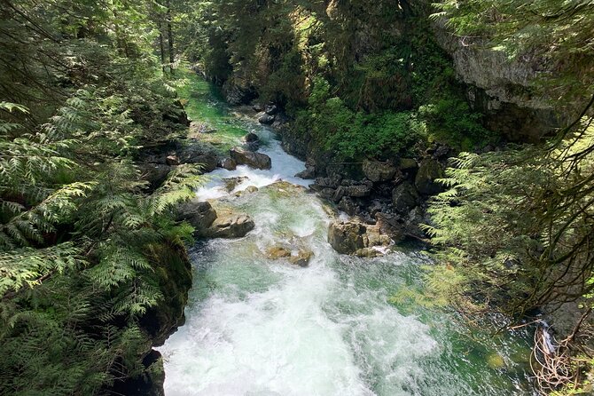 Vancouver Rainforest Hike with Waterfalls, Suspension Bridge, Old Growth Forest - Getting there: morning start, small group comfort, and pickup reality