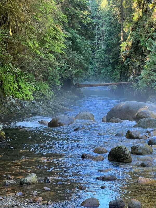 Vancouver: Rainforest Waterfall Hike and Suspension Bridge - Price and Value: Why $62 Can Actually Be a Good Deal
