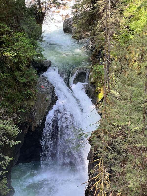 Vancouver: Rainforest Waterfall Hike and Suspension Bridge - What to Pack: Shoes Matter More Than You Think