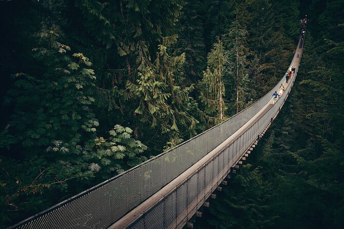 Vancouver Small Group Night Tour w/Capilano + Grouse Mtn Dinner - Skyride up Grouse Mountain: gondola views, minus the stress