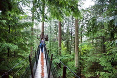 Vancouver: Small Group Tour w/Capilano & Grouse Mtn Lunch - Hotel pickup and the Stanley Park stops that set the tone