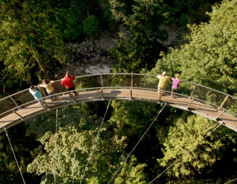 Vancouver: Small Group Tour w/Capilano & Grouse Mtn Lunch - Price and value: is $291 fair for this route?