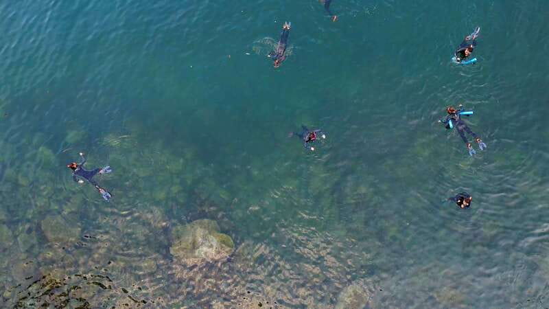Vancouver: Snorkeling Seals Kayaking Scenic Boat Tour - The guide’s role: conservation talk you’ll actually use