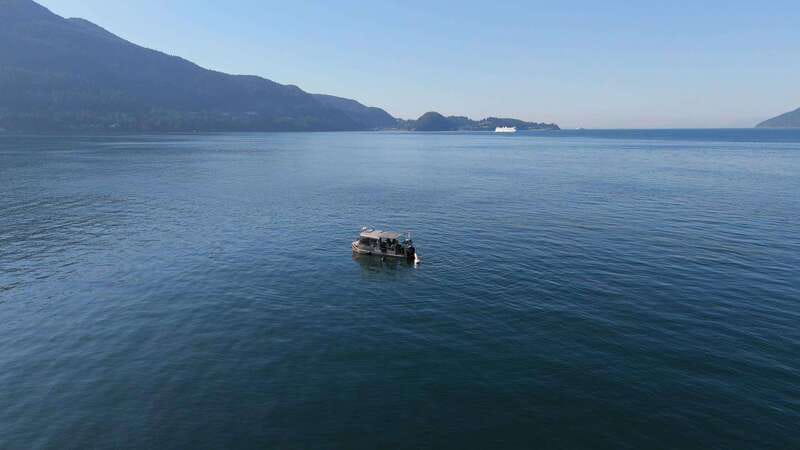 Vancouver: Snorkeling Seals Kayaking Scenic Boat Tour - Price and value: is $98 worth it?