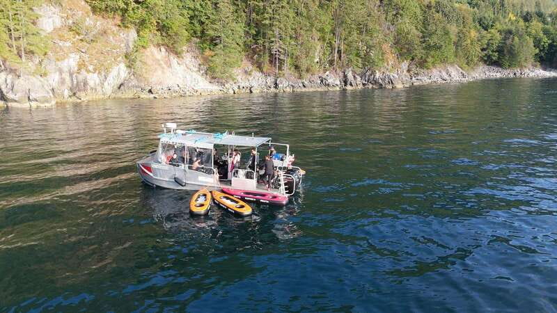 Vancouver: Snorkeling Seals Kayaking Scenic Boat Tour - Who this tour suits best (and who should skip)