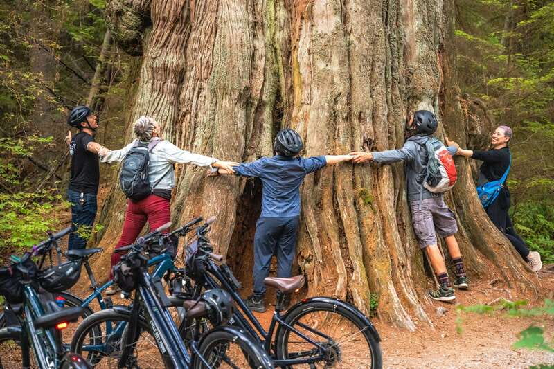 Vancouver: Stanley Park Bicycle Tour - Meet at Hornby Street and Get Set Up Fast