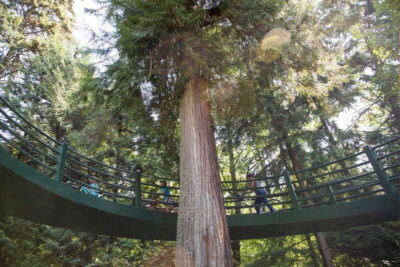 Vancouver: Stanley Park Bicycle Tour - From West End to English Bay: the easy start with real payoff