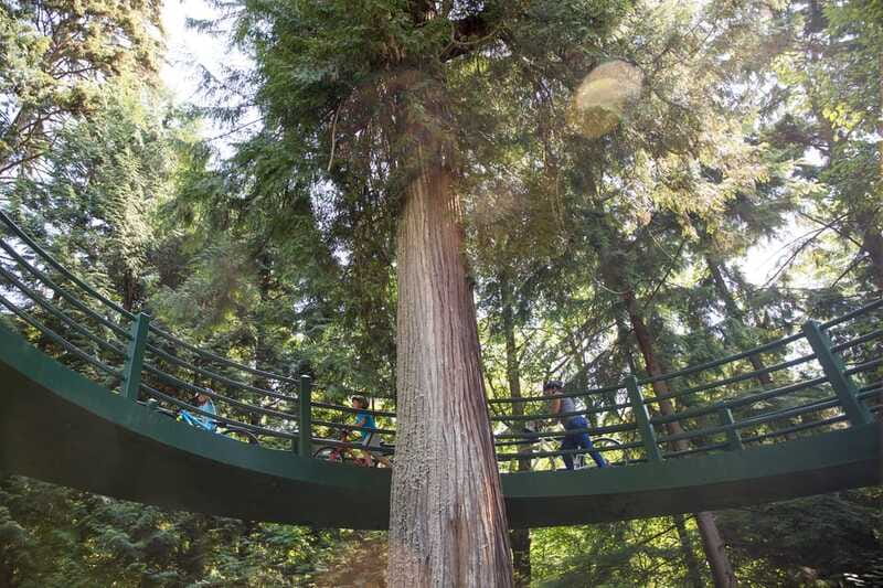 Vancouver: Stanley Park Bicycle Tour - Lost Lagoon and Beaver Lake: slow down for wildlife time