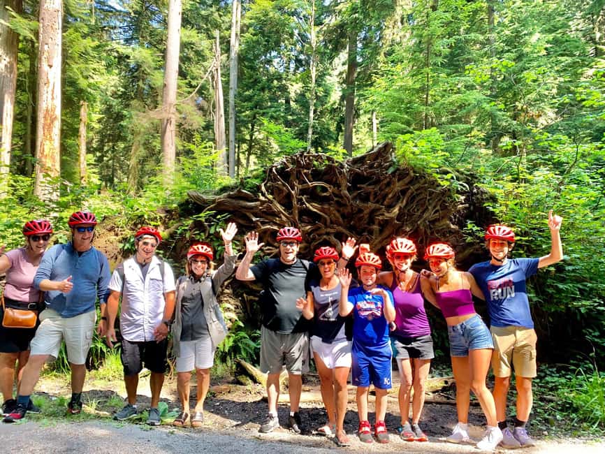 Vancouver: Stanley Park Bike Tour | E-Bike Upgrade Avail. - Totem poles stop: more than a photo break