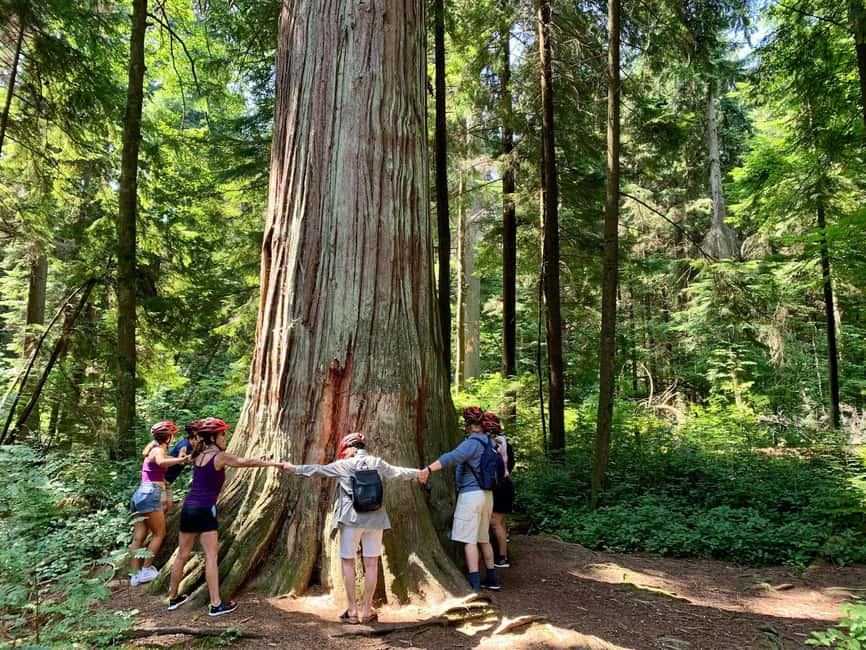Vancouver: Stanley Park Bike Tour | E-Bike Upgrade Avail. - Getting started at Spokes Bicycle Rentals (West Cordova St.)