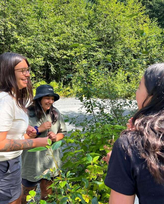 Vancouver: Stanley Park Talking Trees Tour - Who should book the Talking Trees tour (and who might not love it)