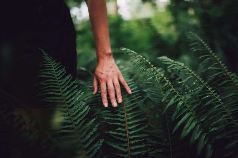 Vancouver: Stanley Park Talking Trees Tour - What to bring (so you can enjoy the walk)