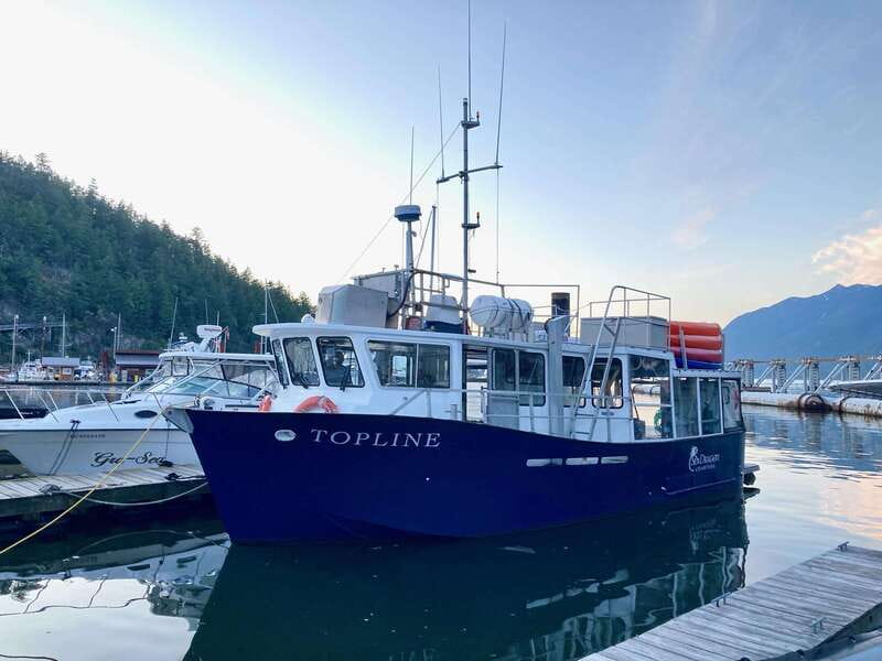 Vancouver: Sunset Boat Cruise with Complementary Bubbly - Why This Sunset Cruise Feels More Like Local Time Than Tourist Time