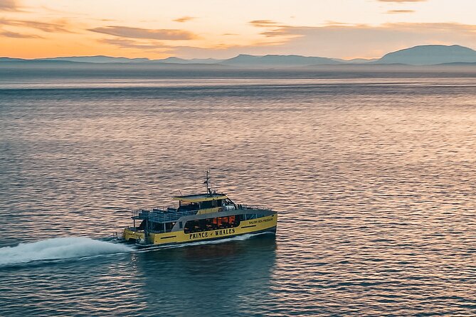 Vancouver Sunset Whale Watching Adventure with Free Photos - The crew and the whale rules: how they look for whales