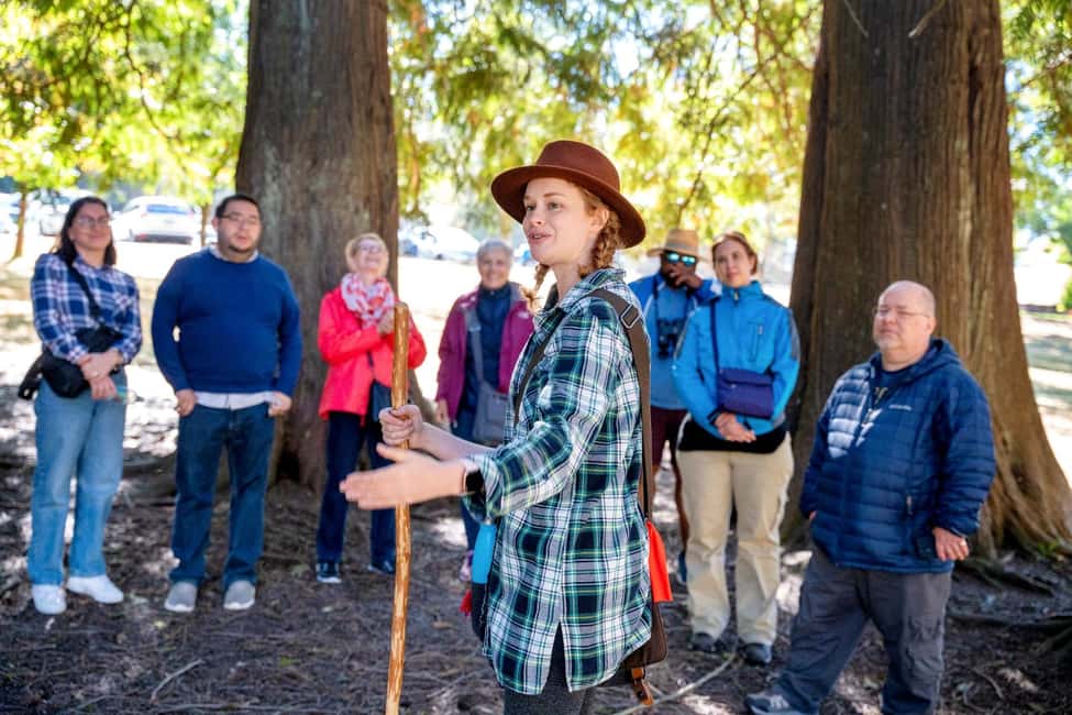 Vancouver: The Dark Secrets of Stanley Park Tour - Stanley Park’s “Forest Side” on Foot (Not Just the Main Paths)
