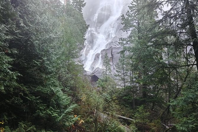 Vancouver to Whistler Private Tour - Shannon Falls Provincial Park: a short trek to 335 meters of waterfall