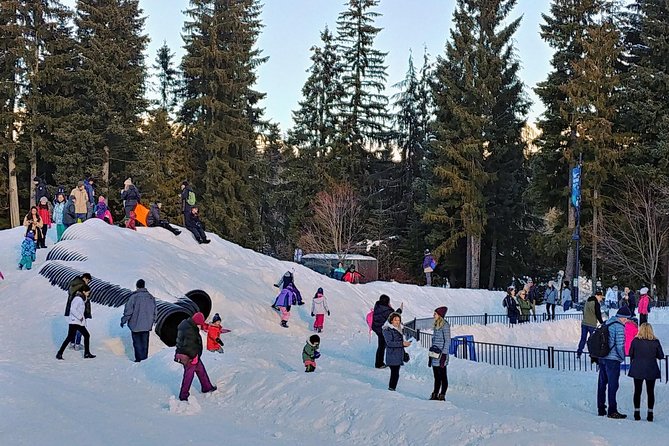Vancouver to Whistler Private Tour - Your guide and driving: why Bobby’s name keeps showing up