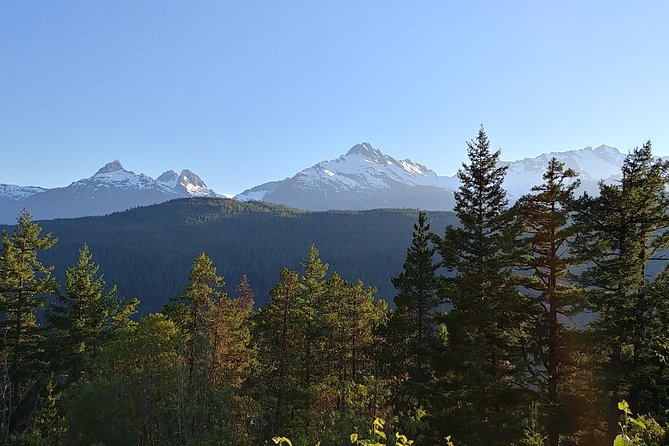 Vancouver to Whistler Private Tour - Timing, stamina, and weather: plan for short hikes and a long day