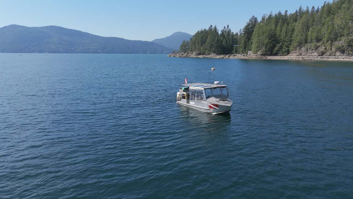 Vancouver UNESCO Biosphere Reserve Wildlife Scenic Boat Tour - Key highlights before you go