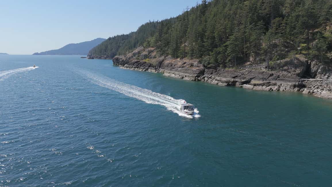 Vancouver UNESCO Biosphere Reserve Wildlife Scenic Boat Tour - The guide experience: science talk that doesn’t feel like a lecture