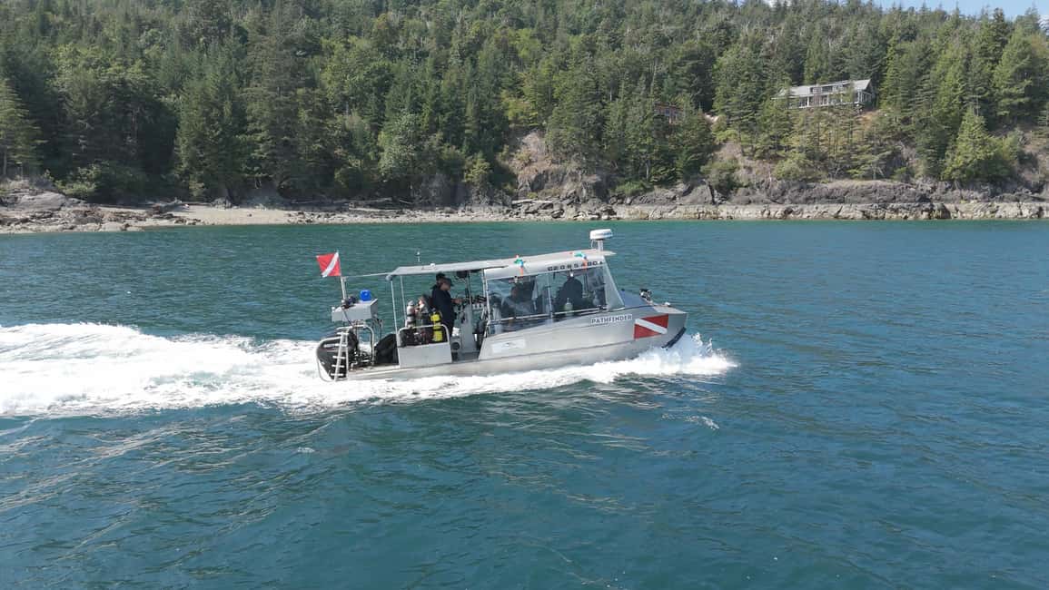 Vancouver UNESCO Biosphere Reserve Wildlife Scenic Boat Tour - Scenic cruising through fjord country: photos, views, and atmosphere