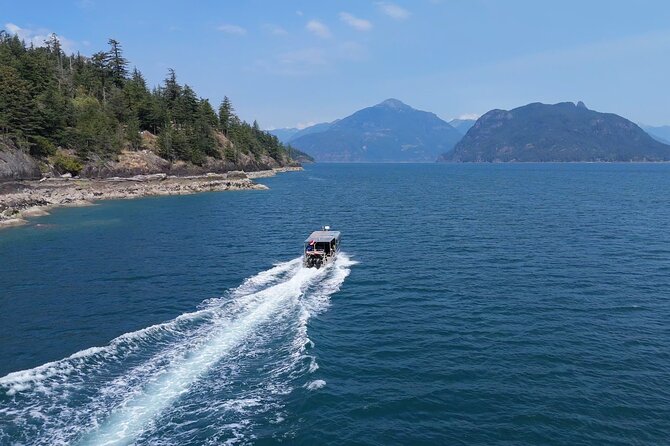 Vancouver UNESCO Biosphere Reserve Wildlife Scenic Boat Tour - Should you book the Vancouver Howe Sound wildlife boat tour?
