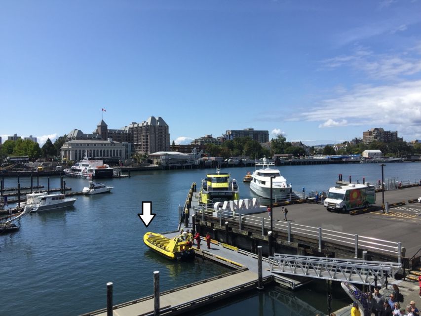 Vancouver: Victoria and Butchart Gardens by Seaplane - The return flight: getting back to Vancouver before dinner