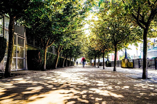 Vancouver Walking Tour: Explore Top Sights & Hidden Gems - Key Highlights You’ll Notice Right Away